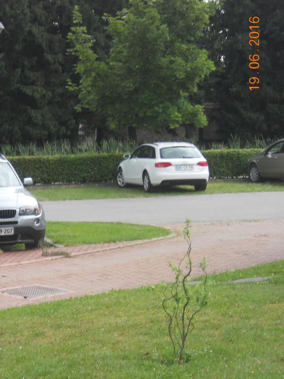 Apartment Nagelj Moravske-Toplice Dış mekan fotoğraf